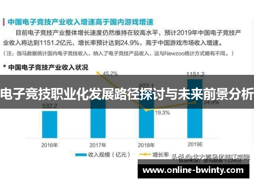 电子竞技职业化发展路径探讨与未来前景分析